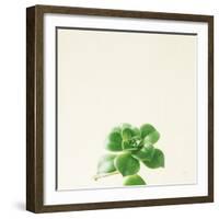 Succulent Simplicity VII Neutral-Felicity Bradley-Framed Art Print