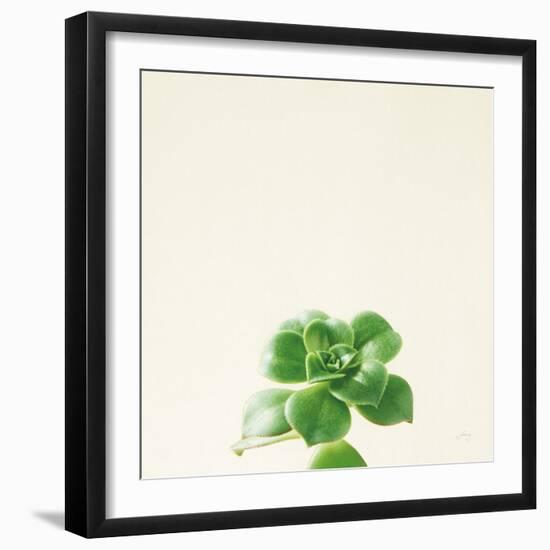 Succulent Simplicity VII Neutral-Felicity Bradley-Framed Art Print