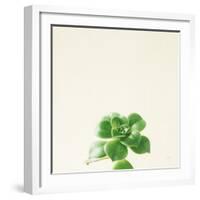 Succulent Simplicity VII Neutral-Felicity Bradley-Framed Art Print