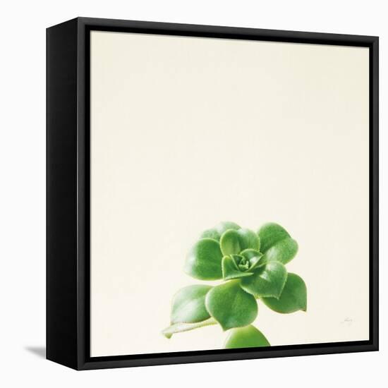 Succulent Simplicity VII Neutral-Felicity Bradley-Framed Stretched Canvas