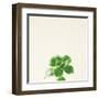 Succulent Simplicity VII Neutral-Felicity Bradley-Framed Art Print