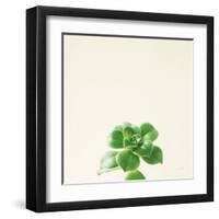 Succulent Simplicity VII Neutral-Felicity Bradley-Framed Art Print