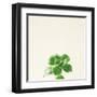 Succulent Simplicity VII Neutral-Felicity Bradley-Framed Art Print