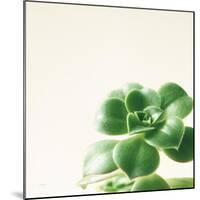 Succulent Simplicity VIII Neutral-Felicity Bradley-Mounted Art Print