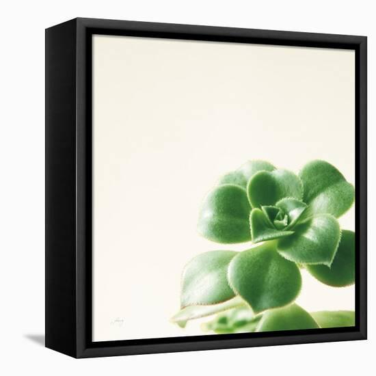 Succulent Simplicity VIII Neutral-Felicity Bradley-Framed Stretched Canvas