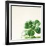 Succulent Simplicity VIII Neutral-Felicity Bradley-Framed Art Print