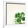 Succulent Simplicity VIII Neutral-Felicity Bradley-Framed Art Print