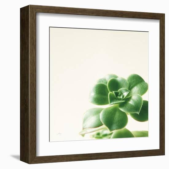 Succulent Simplicity VIII Neutral-Felicity Bradley-Framed Art Print