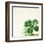 Succulent Simplicity VIII Neutral-Felicity Bradley-Framed Art Print