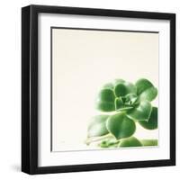 Succulent Simplicity VIII Neutral-Felicity Bradley-Framed Art Print
