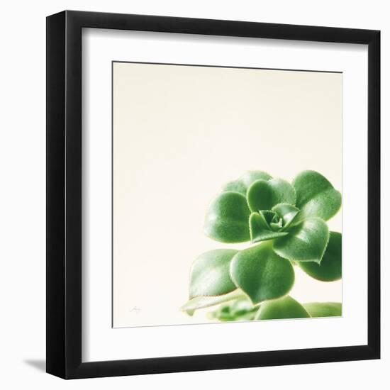 Succulent Simplicity VIII Neutral-Felicity Bradley-Framed Art Print