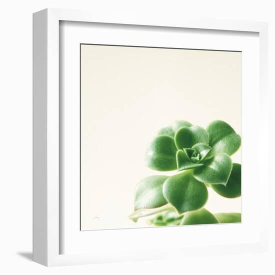 Succulent Simplicity VIII Neutral-Felicity Bradley-Framed Art Print