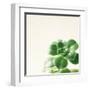 Succulent Simplicity VIII Neutral-Felicity Bradley-Framed Art Print