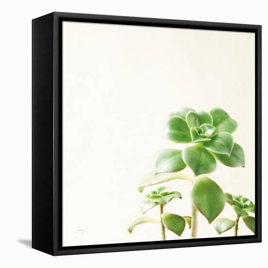 Succulent Simplicity X Neutral-Felicity Bradley-Framed Stretched Canvas