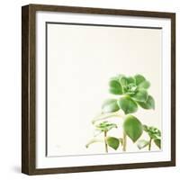 Succulent Simplicity X Neutral-Felicity Bradley-Framed Art Print