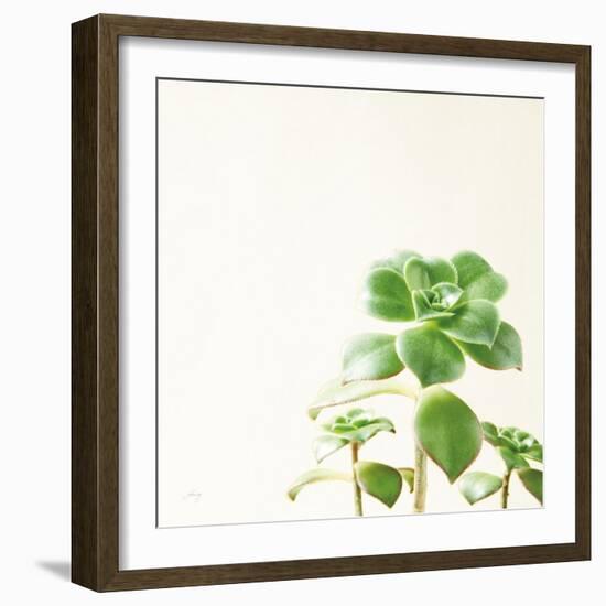 Succulent Simplicity X Neutral-Felicity Bradley-Framed Art Print