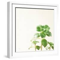 Succulent Simplicity X Neutral-Felicity Bradley-Framed Art Print