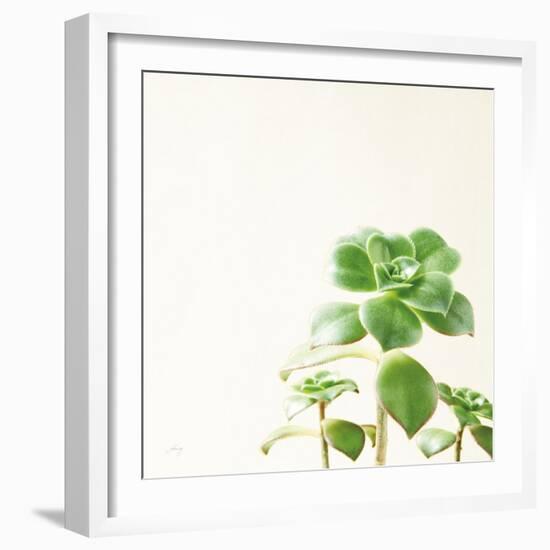 Succulent Simplicity X Neutral-Felicity Bradley-Framed Art Print