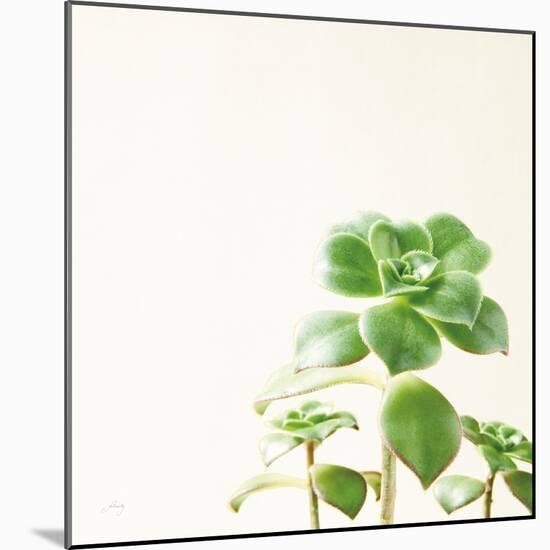 Succulent Simplicity X Neutral-Felicity Bradley-Mounted Art Print