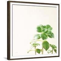Succulent Simplicity X Neutral-Felicity Bradley-Framed Premium Giclee Print
