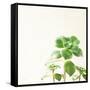 Succulent Simplicity X Neutral-Felicity Bradley-Framed Stretched Canvas