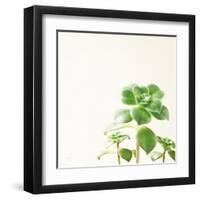 Succulent Simplicity X Neutral-Felicity Bradley-Framed Art Print