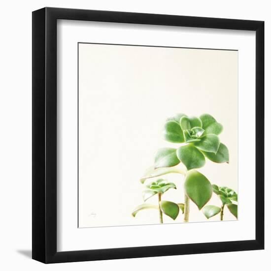 Succulent Simplicity X Neutral-Felicity Bradley-Framed Art Print