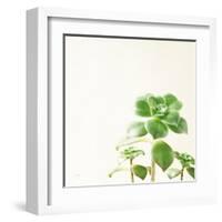 Succulent Simplicity X Neutral-Felicity Bradley-Framed Art Print