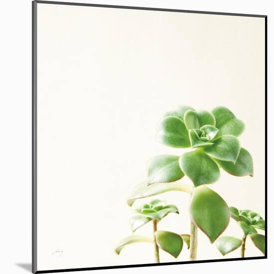 Succulent Simplicity X Neutral-Felicity Bradley-Mounted Art Print