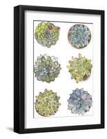 Succulent Sketchbook I-Sandra Jacobs-Framed Giclee Print
