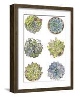 Succulent Sketchbook I-Sandra Jacobs-Framed Giclee Print