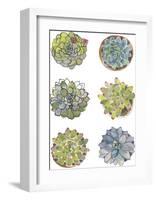 Succulent Sketchbook I-Sandra Jacobs-Framed Giclee Print