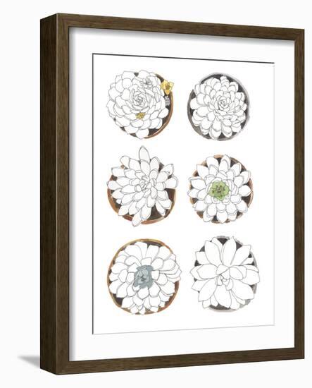 Succulent Sketchbook II-Sandra Jacobs-Framed Giclee Print