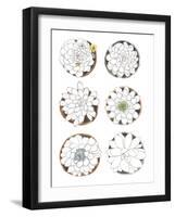 Succulent Sketchbook II-Sandra Jacobs-Framed Giclee Print