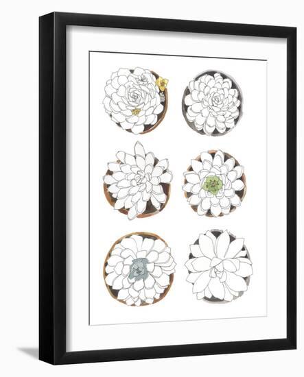 Succulent Sketchbook II-Sandra Jacobs-Framed Giclee Print