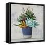 Succulent Still Life I Navy-Julia Purinton-Framed Stretched Canvas