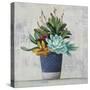 Succulent Still Life I Navy-Julia Purinton-Stretched Canvas