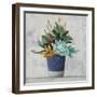 Succulent Still Life I Navy-Julia Purinton-Framed Art Print