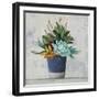 Succulent Still Life I Navy-Julia Purinton-Framed Art Print