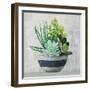 Succulent Still Life II Navy-Julia Purinton-Framed Art Print