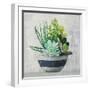 Succulent Still Life II Navy-Julia Purinton-Framed Art Print