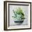 Succulent Still Life II Navy-Julia Purinton-Framed Art Print