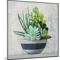 Succulent Still Life II Navy-Julia Purinton-Mounted Art Print