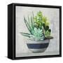 Succulent Still Life II Navy-Julia Purinton-Framed Stretched Canvas