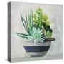Succulent Still Life II Navy-Julia Purinton-Stretched Canvas