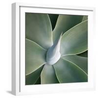 Succulent Tip-Jan Bell-Framed Art Print