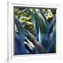 Succulent Vibes II-Sonja Quintero-Framed Photographic Print