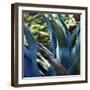 Succulent Vibes II-Sonja Quintero-Framed Photographic Print