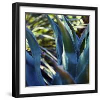 Succulent Vibes II-Sonja Quintero-Framed Photographic Print