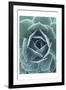 Succulent With Dew 1-Urban Epiphany-Framed Art Print